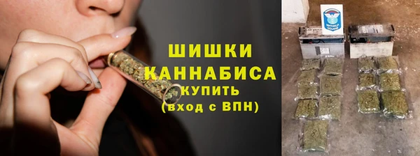 прущие грибы Россошь
